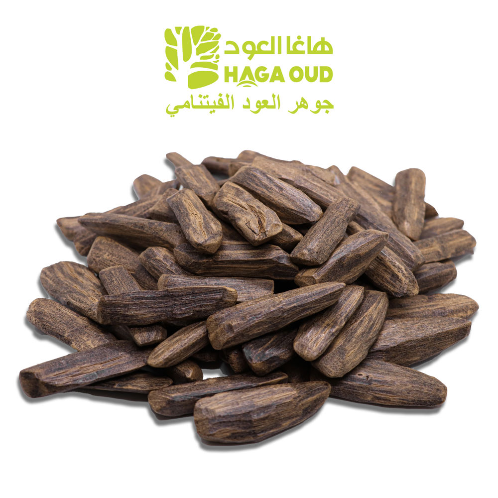 العود اليومي ACMD_thumbnail_0