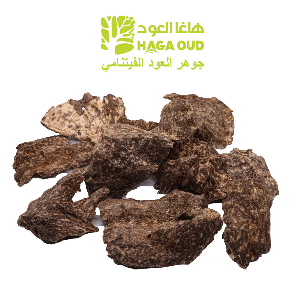 جار العود البري ACKC1_thumbnail_0