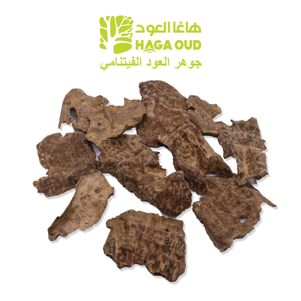 جار العود البري بالدرجة الثانية ACKC2_thumbnail_0