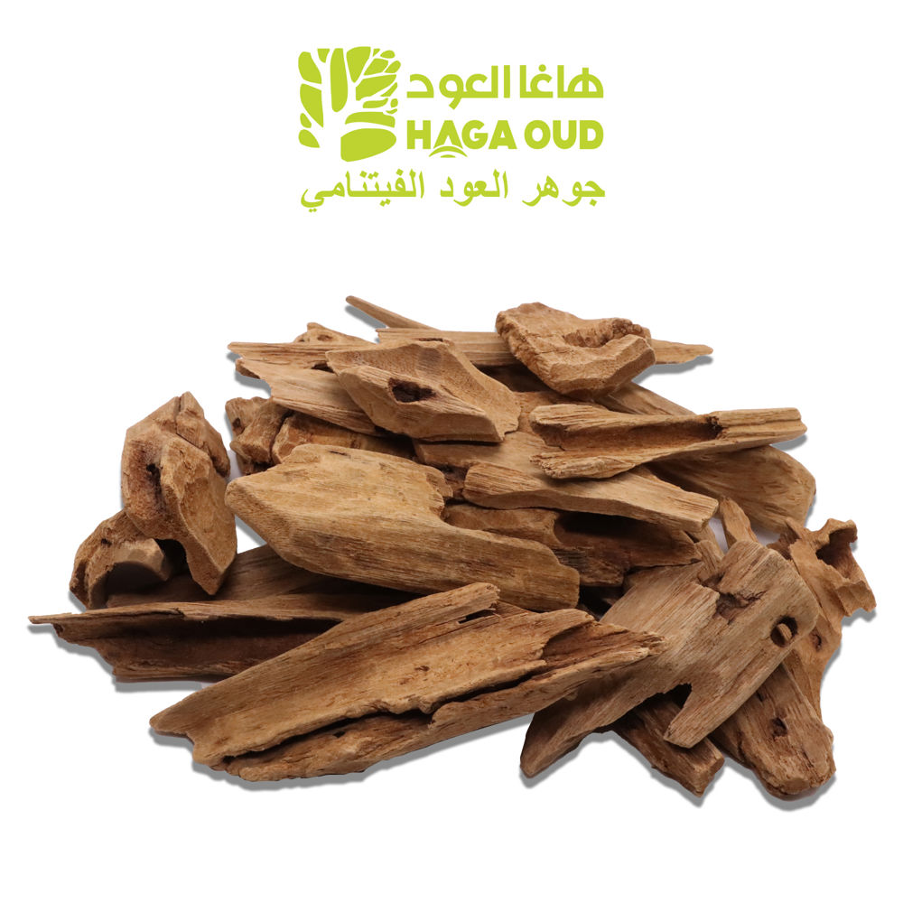العود الجبلي ASCJ_thumbnail_0