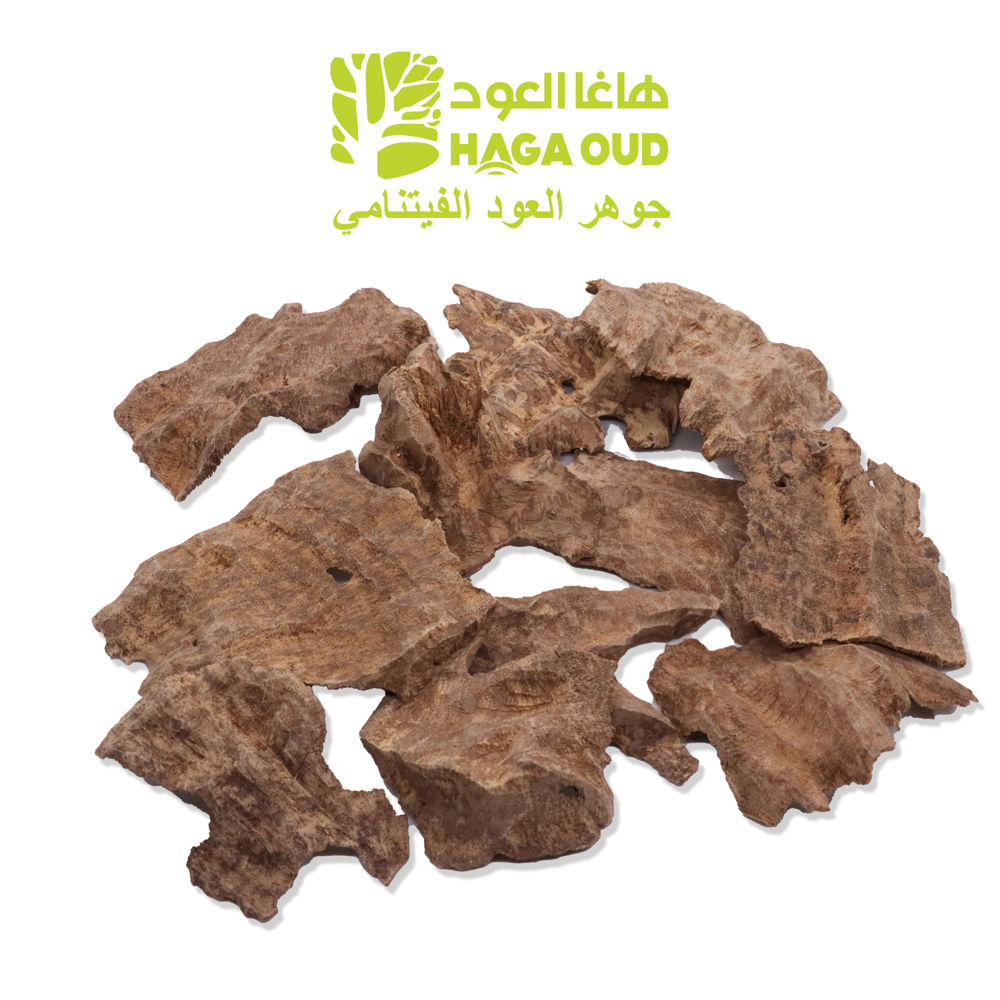 جار العود البري بالدرجة الثالثة ACKC3_thumbnail_0