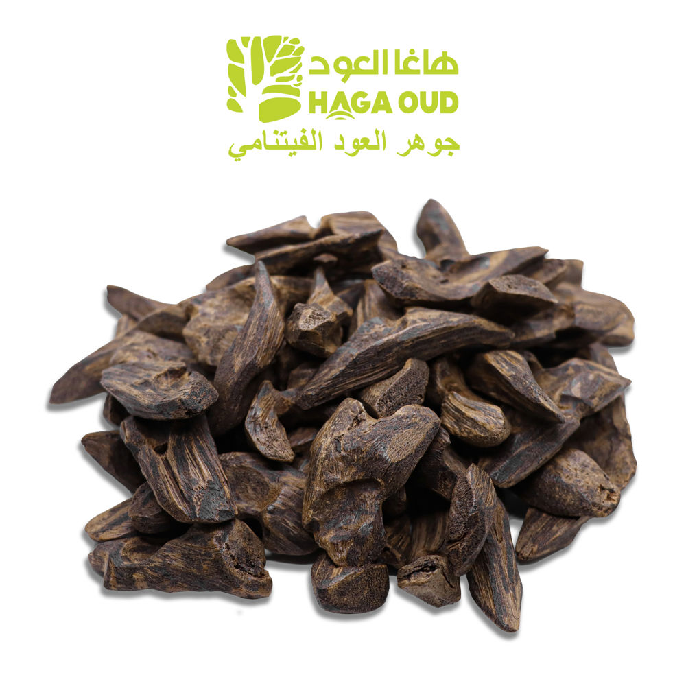 عود بيت النمل ASCA_thumbnail_0