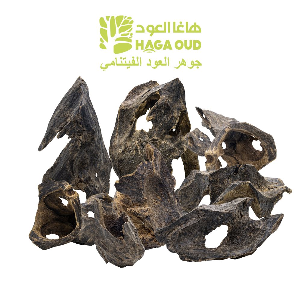 نوادر العود ASCN_thumbnail_0